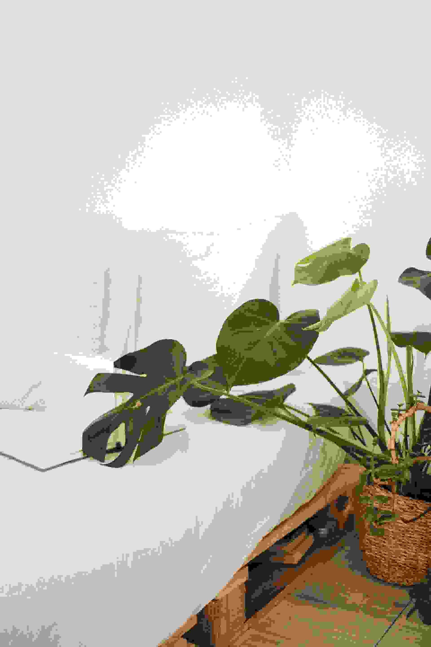 Do not forget to set image alt text!