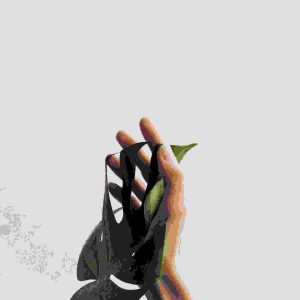 Do not forget to set image alt text!