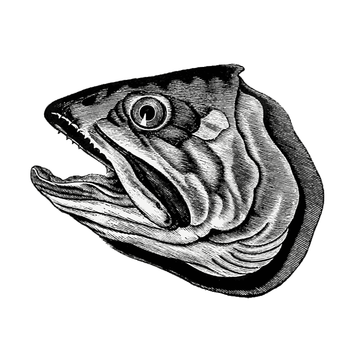 Don't forget to set alternative text.